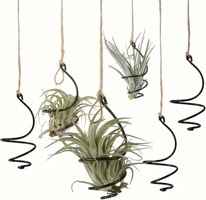 6 pcs set Hanging Air Plant Holder Air Plant Hanger with Jute Ropes, Soilless Air Plant Stand Tillandsia Succulent Display Container for Home Office Decor