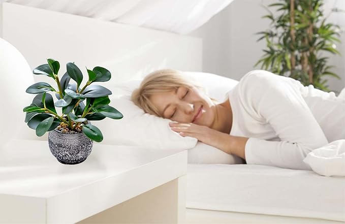 AlphaAcc Artificial Plants Potted Real Looking Small Faux Plant with Rustic Black Cement Planter for Kitchen Office Desk Bookshelf Decor (Ficus Plant)