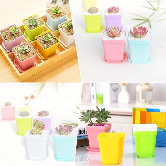 Haawooky 24 Pack Colorful Flower Pots Square Plastic Plant Pots Succulent Planter Nursery Pots with Saucers for Your Room,Garden Office and Balcony Decor
