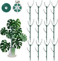 12 Pack Stackable Monstera Plant Support Stakes, 90inch Climbing Plant Sticks Structures with Garden Ties, Durable Alternative to Moss Pole for Indoor Outdoor Plants