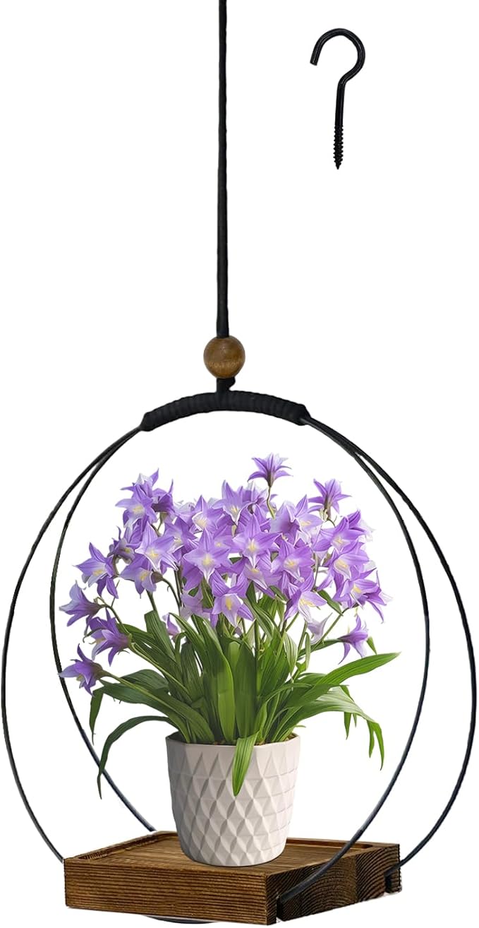 Hanging Planter for Indoor Plants, Black Plant Hanger Indoor with Sturdy Wood Base, Modern Boho Macrame Plant Hanger for 3-5.5 Inch Pot, Hanging Wall Ceiling Window Home Decor (Pots Not Included)
