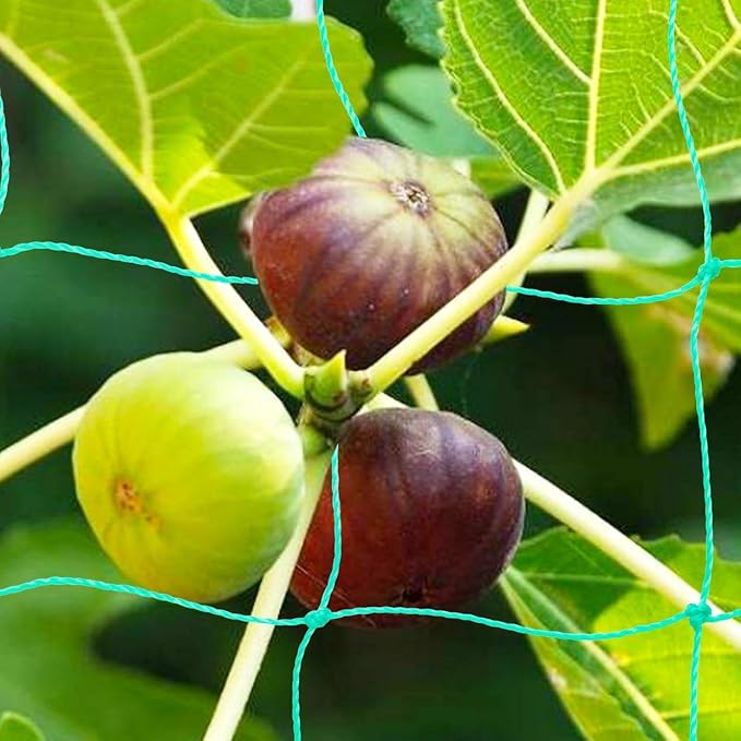 Pack of 2 Cucumber Tomato Trellis Netting, Heavy Duty Garden Netting for Climbing Plants Support, Pea, Grape, Bean, Fruit, Vegetables - 4" Mesh Size, 6Ft x 9Ft