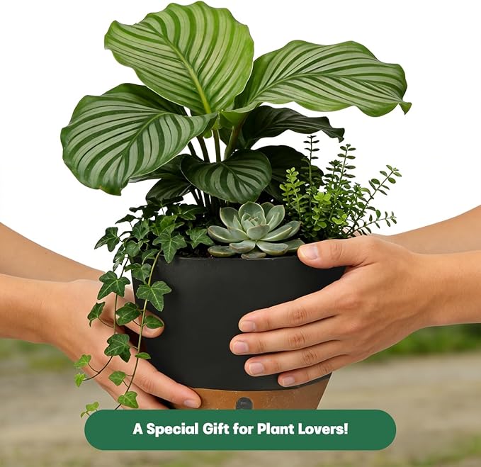 Self-Watering Hanging Planters for Indoor Plants Set 2-Piece Includes Plant Hanging Pot, Drainage-Hole Hanging Pot, and Hanging Basket Rack (10 Inches, Black)