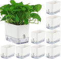Planterhoma Self Watering Plant Pots for Indoor Plants 7 inch, 8 Packs Rectangular Self-Watering Planters with Drainage Hole, White African Violet Pots for Devil's Ivy, Spider Plant, Orchid, Herb
