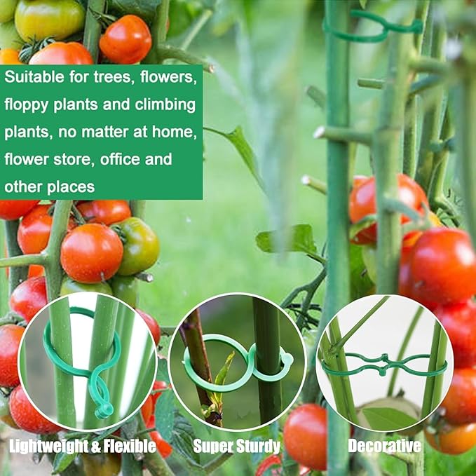 Hysagtek 100 Pcs Plant Support Clips - Heavy Duty Garden Clips for Tomatoes, Vines & Climbing Plants - Reusable Green Plastic Plant Ties