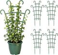 Plant Support Stakes,Stackable Plant Trellis for Indoor Climbing Plants,Small Plant Climbing Trellis for Potted Plants Plastic Climbing,Potted Plant Trellis for Houseplants (4PCS)