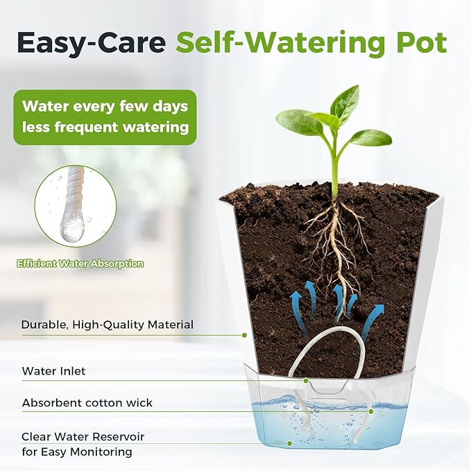 12 Pack Self Watering Plant Pots 6 Inches Self-Watering Planters for Indoor and Outdoor Plants African Violet Succulent Pots Clear Pot for Plants Large Herb Orchid Flower Houseplant Plant, White