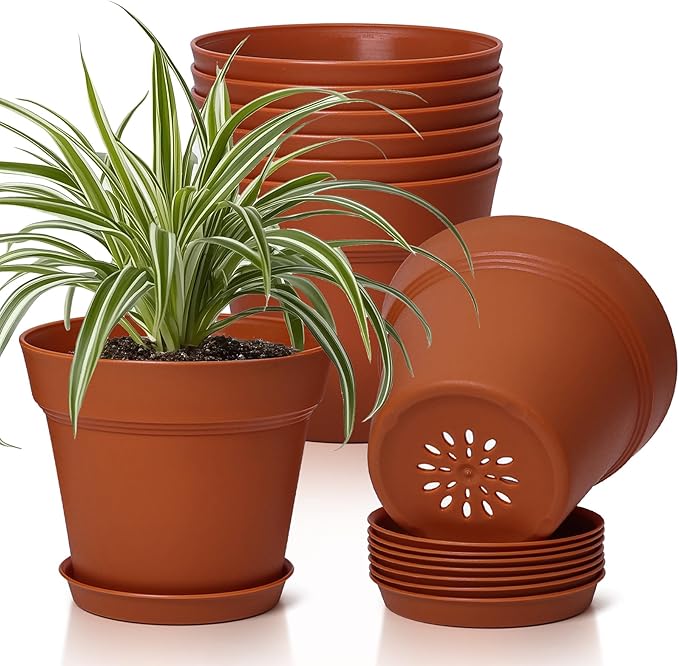 T4U 6 Inch Plant Pot 8-Pack, Plastic Planter with Drainage Hole and Saucer, Decorative Nursery Pots Bulk for African Violet, Snake Plant, Succulent, Herb and Plants Indoor (8 Pcs 6" Pots)