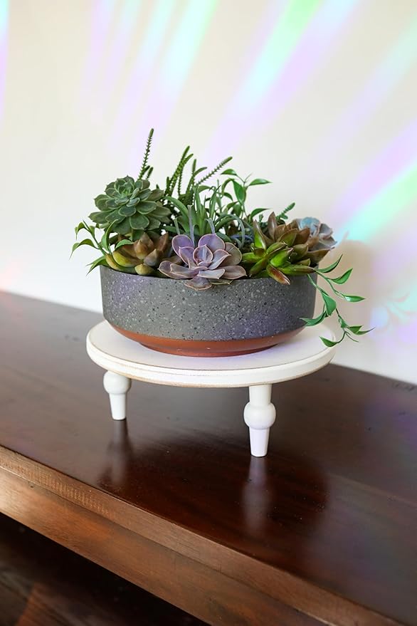 The HC Companies 8 Inch Round Plastic Succulent Capri Bowl Decorative Indoor Flower Succulent Planter Pot with Drain Plug Hole, Faux Concrete Color with Copper Bottom Color (2 Pack)
