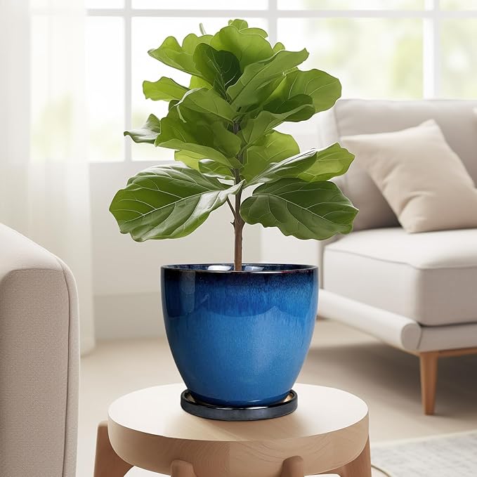 Ceramic Planters for Indoor Plants - 6.3 Inch Plant Pot with Drainage Hole and Saucer Round Modern Planter Home Garden Patio Decor Blue