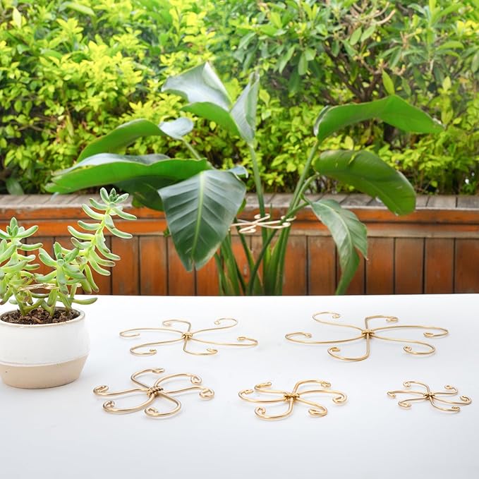 Monstera Plant Stem Support Set of 5 - Durable 7.5in Indoor Stabilizers for Fishbone Cactus - Enhances Growth & Home Decor - Ideal Plant Care Solution