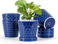 BUYMAX Ceramic Plant Pots –5 inch Indoor Flower Pot with Drainage Hole and Ceramic Tray - Gardening Home Desktop Office Windowsill Decoration Gift, Set of 4-Plants NOT Included(Blue)