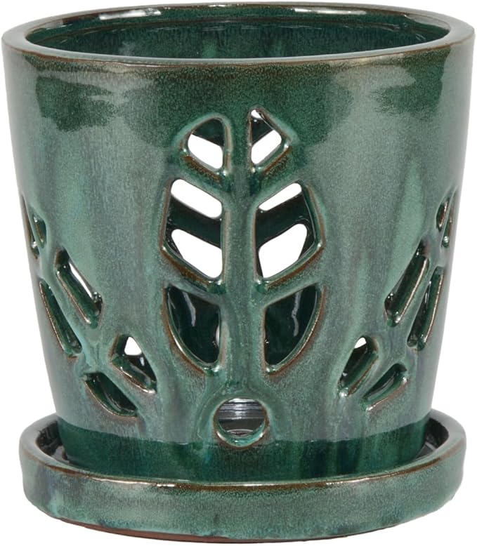 W&W Orchid Pot with Holes and Saucer for Repotting, Green Mix, 5.5 Inch