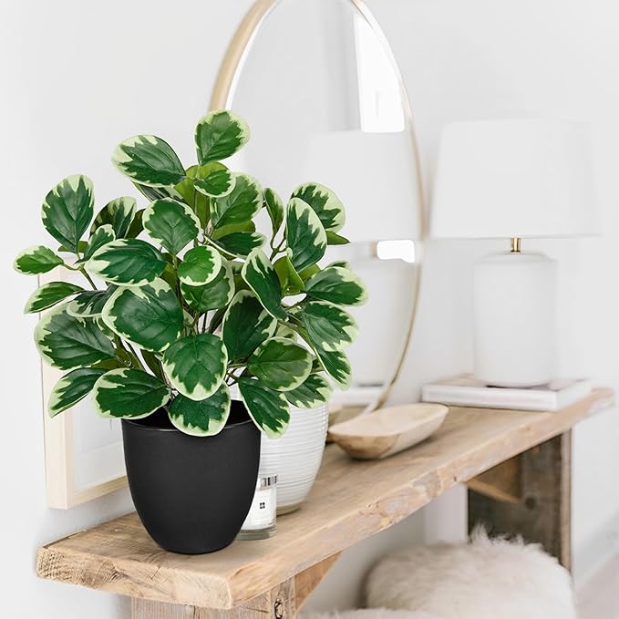 Sets of 2 Artificial Plants Indoor Home Decor, 14.5" Fake Potted Silk Plants for Shelves Living Room Decor, Small Artificial Office Desk Plant in Pots, Faux Peperomia Hope Tropical House Plant