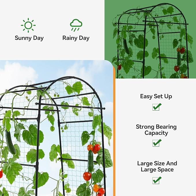 Lalahoni Garden Arch Trellis for Climbing Plants Outdoor, 80 Inch Tall Grape Metal Vine Plants Support Flower Vegetable Tomato, Cucumber Trellis for Raised Bed, Black