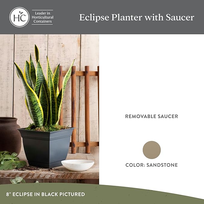 The HC Companies 8 Inch Eclipse Square Planter Pots with Drainage Holes & Attached Saucer, Lightweight UV-Resistant Plastic Indoor Outdoor Planters, 4-Pack Flower Pots for Garden Home Decor, Sandstone