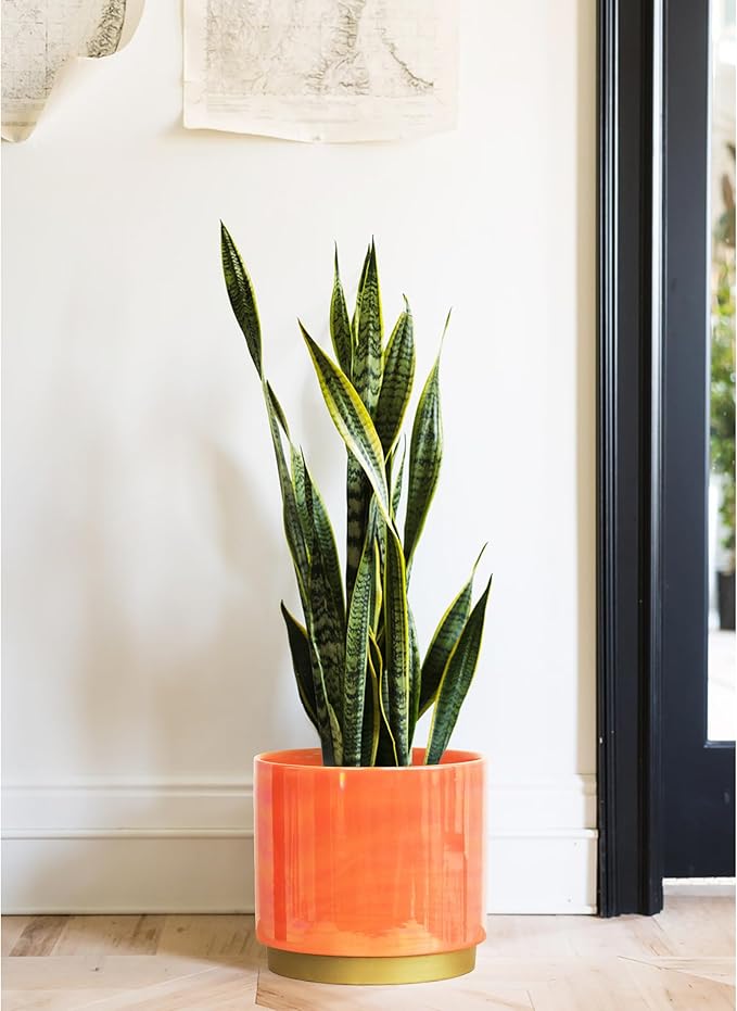 Gepege Peach Indoor Plant Pots for Plants, Large Ceramic Planter with Drainage Hole, 9.6-inch Succulent Orchid Flower Pot - Rainbow Pearl Glaze