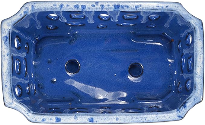 W&W Orchid Pot with Holes and Saucer for Repotting, White and Blue, 9.7 Inch