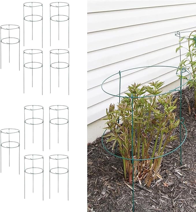 MTB Supply 10 Pack 36" x 18" Peony Double Ring Plant Support,Plant Support Stakes for Tomatoes Peony Lily Rose Plant Support Rings Peony Cages for Outdoor Plants Flowers Vegetables