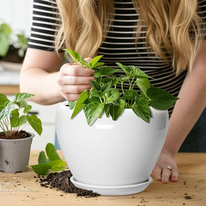Ceramic Pot for Plants - 8 Inch Ceramic Planter for Indoor Plants, Modern Round Planter with Drainage Hole and Saucer, Plant Lover Gifts, Home Office Garden Decor, White