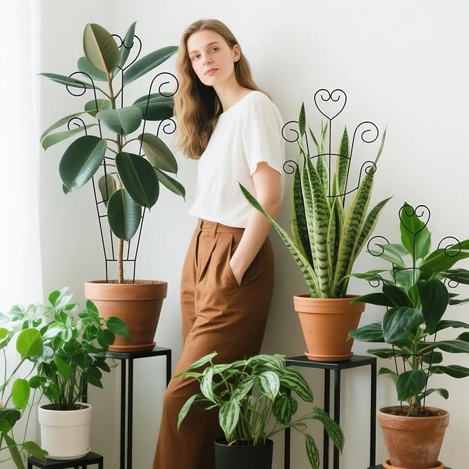 30 Inch Plant Trellis for Climbing Plants Indoor, Outdoor Metal Garden Trellis for Potted Plants, Houseplant Plant Support for Ivy Pothos Monstera Hoya Flower Vine Black Heart (Black-2pcs)