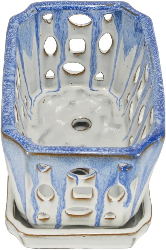 W&W Orchid Pot with Holes and Saucer for Repotting, Blue and White, 9.7 Inch