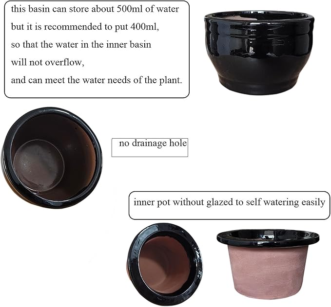 African Violet Pots Self Watering Round Ceramic Violet Pot (Black, 6 inch)