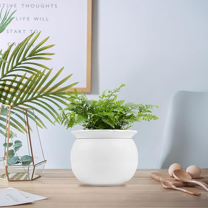 BUYMAX African Violet Pots, 6 inch Ceramic Easy Self Watering Plant Pot for Busy Plant Lovers, Automatically Absorb Appropriate Amount of Water, Flower Pot Indoor-Plants Not Included