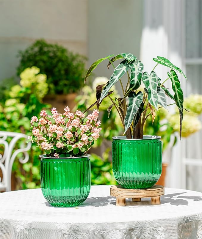 Melphoe Self Watering Pots for Indoor Plants Planter, 5.3 Inch 2 Pack Planters Self Watering Plant Pots for Flower, Houseplants, Succulent, African Violets and Cactus with Drainage