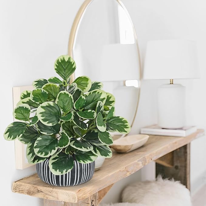 13" Artificial Plants Indoor Small Fake Plant in Ceramic Pot, Silk Plants for Home Decor Indoor, Faux Peperomia Potted Plant for Shelves, Desks, Home, Room, Office, Bedroom, Entryway, Tabletop Decor