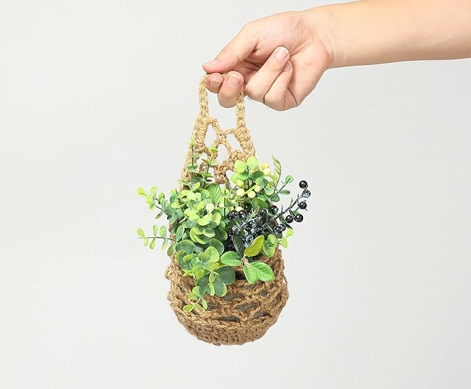3 Packs Hanging Planters for Indoor Plants up to 4 in., Wall Plant Holder | Plant Hanger Indoor, Wall Planters for Indoor Plants, Hanging Plant (3PK, for 4 inch Pot)