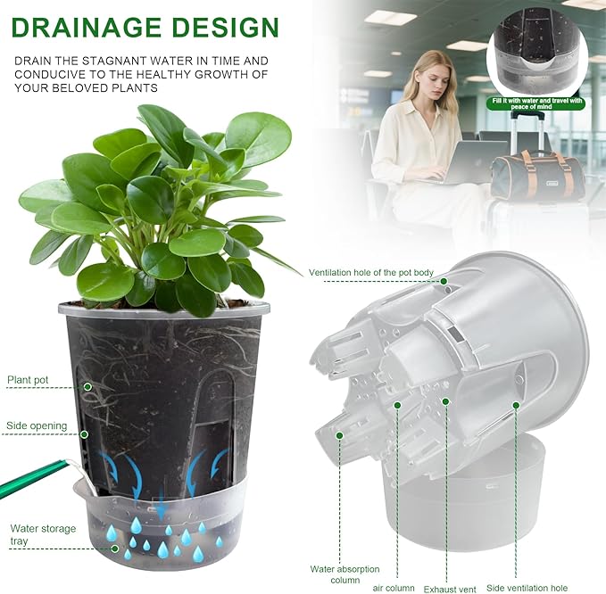 Cdd's Path Upgraded 5-Pack 6 Inch Naked Root Planter Self Watering Pots Set, Plant Pots with Holes for Indoor/Outdoor Plants with Watering Hole/Reservoir and Air Pipes, Clear