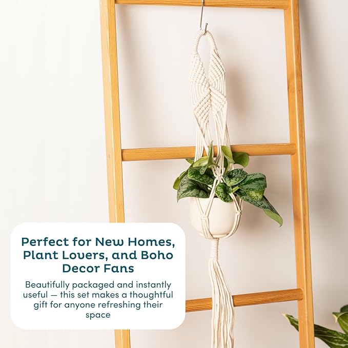 Nook Theory 4-Pack Macrame Plant Hangers with 8 Hooks - Hanging Planters for Indoor Plants, Boho Macrame Hangers Indoor Outdoor, Decorative Plant Hanger Indoor (Caramel)