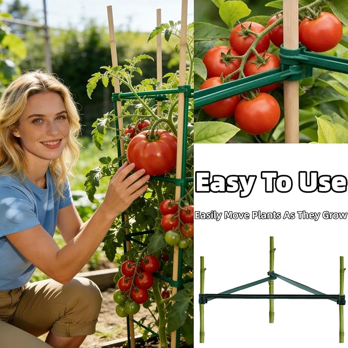 100Pcs Stake Arms for Tomato Cage, 11.8 inch Tomato Stake Connectors, Expandable Support Trellis Connectors for 11mm Stakes for Garden Climbing Plants Vegetables