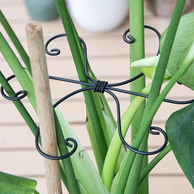 Monstera Plant Stem Support Set - 7.5x7.5 Inch Durable Stabilizers for Indoor Climbing Plants and Leaf Holders - Promote Healthy Growth and Stability (5 Pieces)