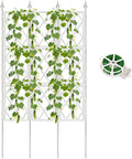 5.25FT Garden Trellis for Climbing Plants Outdoor,White Iron Pipe Support Fence,Metal Wall Lattice Climbing Frame for Potted Plants Indoor for Ivy Vines Vegetable Flower, Patio, Lawn, Yard, Backyard