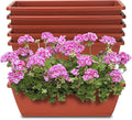 Window Box Planter, 6 Packs 17 Inches Rectangle Planters Box with Drainage Holes and Trays, Vegetable Planters for Windowsill Patio Garden Home Decor Porch Yard Red