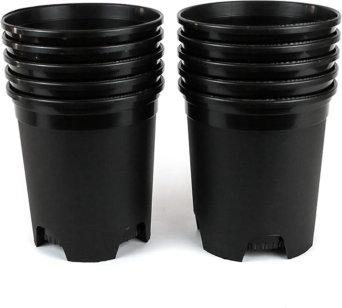1 Gallon Nursery Pot Plastic Planters for Outdoor Indoor Plants Gardening Flower Pots 10-Pack 6 Inch Plant Pots with Drainage Holes