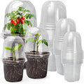 MIXC Clear Nursery Pots with Humidity Domes, 5/4/3.5 Inch Reinforced Transparent Plastic Pots for Planting with Drainage Holes, for Tomato Seedlings, Cactus, and Herbs, 30 Pack