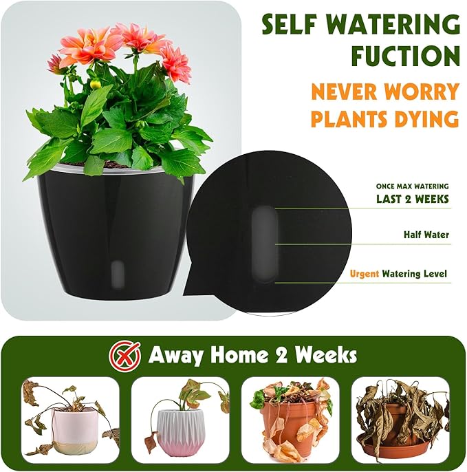 Self-Watering Pots for Indoor Plants, 6-Pack 6.7'' Self Watering Planter with Drainage Holes, Small African Violet Pots with Water Indicator, Clear Wick Pot, Black