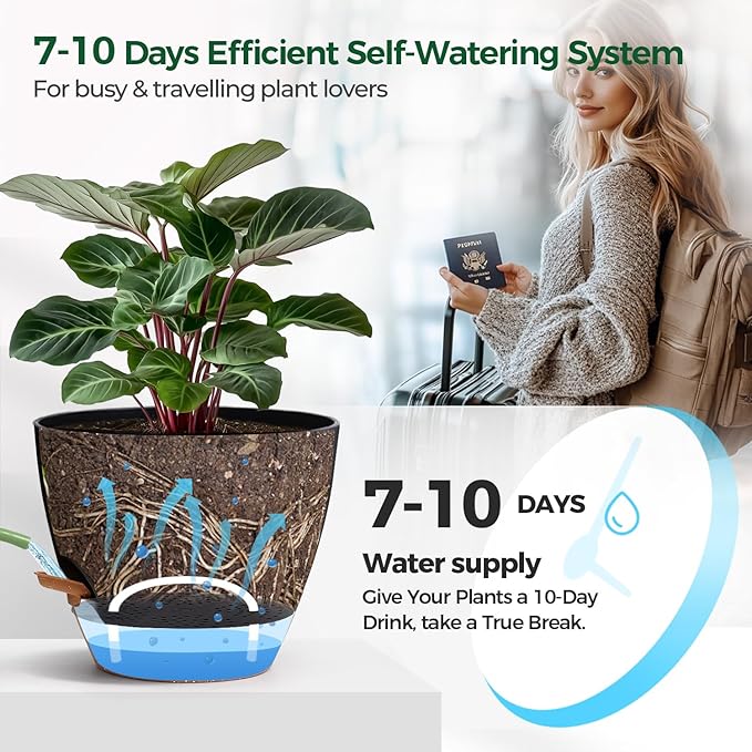 T4U 2 Pack 8 Inch Self Watering Pots - Water Level Indicator & Deep Reservoir, Mess-Free Planter for Busy People, Beginners & Gardeners, Pothos/Herbs/Snake Plants, Indoor Outdoor Use (Black)