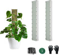 24" Metal Moss Pole, D Shape Sphagnum Moss Pole, Moss Poles for Climbing Plants, Monstera, Indoor Climbing Plants (2Pcs 24")