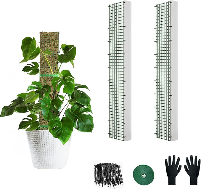 24" Metal Moss Pole, D Shape Sphagnum Moss Pole, Moss Poles for Climbing Plants, Monstera, Indoor Climbing Plants (2Pcs 24")