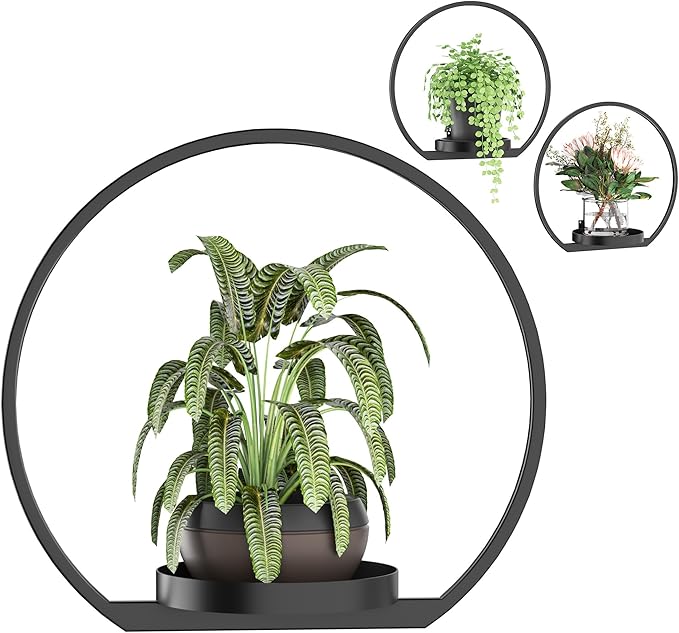 Wall Planters for Indoor Plants, Plant Frames Wall Decor Living Room Plant Stand Hanging Wall Plants Holder to Hold Large Pots Wall Plant Hanger Window Plant Shelves for Outdoor Entryway