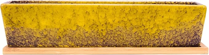 Succulent Pots - Large Succulent Planter Pots with Drainage, 12 Inch Long Rectangle Bonsai Pot with Bamboo Tray Shallow Ceramic Cactus Flower Planter Window Box for Home Garden Decor (Yellow)