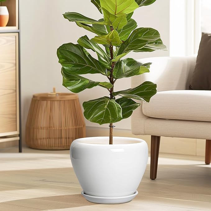 Ceramic Pot for Plants - 8 Inch Ceramic Planter for Indoor Plants, Modern Round Planter with Drainage Hole and Saucer, Plant Lover Gifts, Home Office Garden Decor, White