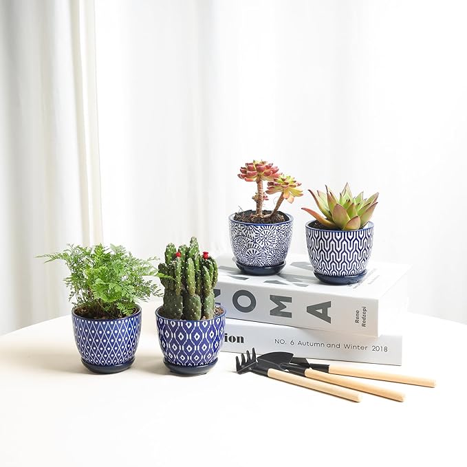 Selamica Ceramic Succulent Pots, 3.5 Inch Small Plant Pots for Indoor Plants Cactus Herbs, Succulent Planters with Drainage Holes & Saucers, Home Decor, Set of 6, Vintage Blue