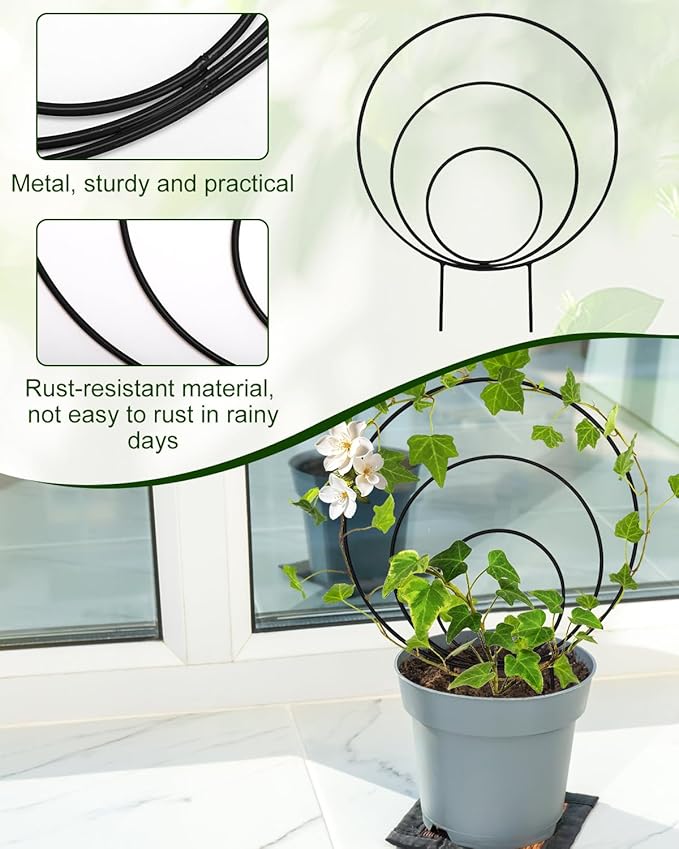3 Pcs Unique Round Hoya Garden Trellis, Different Small Houseplant Trellis for Climbing Plant Indoor Outdoor, Garden Trellis Plant Support for Potted Ivy and Flowers (Black)