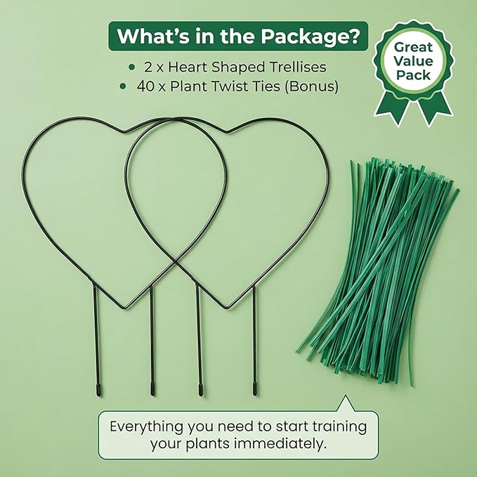 2 Pcs Heart Shaped Plant Trellis Indoor with 100 Plant Twist Tie Pothos Plants Climber Support Heart-Shaped Trellis Iron Heart Trelli Black Durable Houseplant Hearts Trelli for Potted Vines and Flower