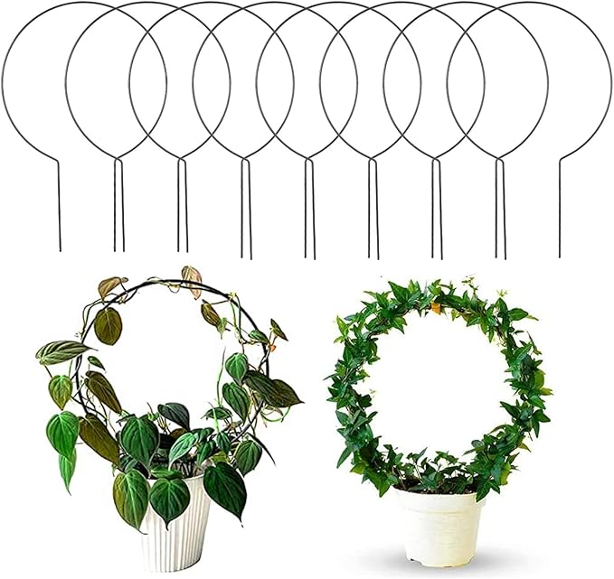 Acrux7 10 Pcs Circle Indoor Plant Trellis for Potted Plants, 10 Inch Small Hoya Trellis for Climbing Plants, Vines, Topiary Frames